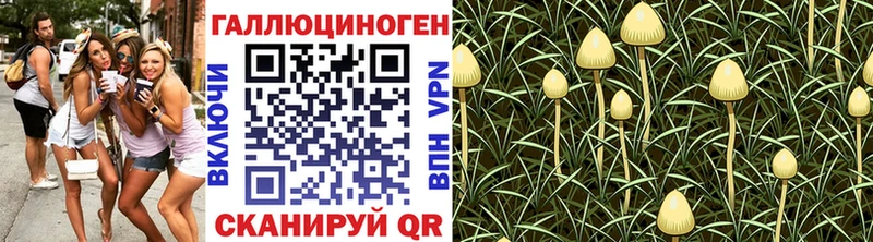 Галлюциногенные грибы прущие грибы  Нурлат 